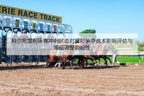 科尔布雷利环赛冲刺状态对黄衫争夺战术影响评估与策略调整前瞻性